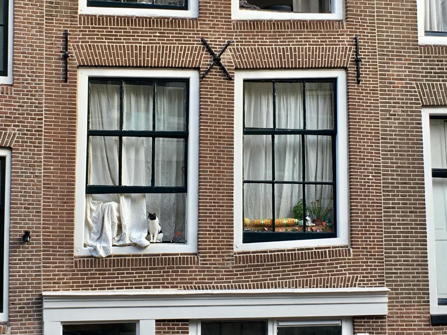 Image of Window Installers